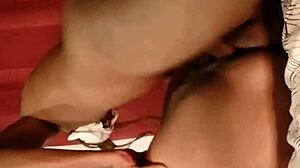 Sundaydogood614's Update 515 Video From October 1, 2024