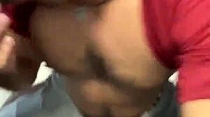 Hey, Three Dicks in the Same Bathroom Box Wanting a Suck and a Sneaky Hand Grab?