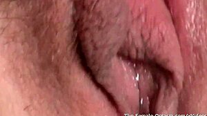Lacey vibes her hairy pussy lips until slimy wet climax