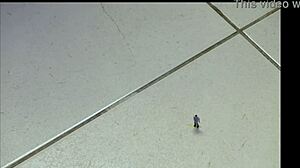 Tall Giantess Humiliates Small Cock With Nose Fetish