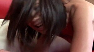 Coco Enjoys Rough Quickie With Wet Pussy And Clothes Ripped For Creampie