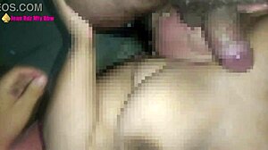 bisexual double blowjob where husband and wife suck cock together.