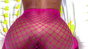 hot big ass horny pussy girl likes to ride bbc