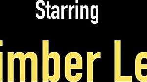 Pawg Kimber Lee Undresses Part 2