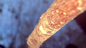 Having sex with a real life witch in the woods bent over ass pussy milf cute black monster cock