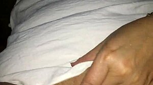 Paulahot - Update 12 - Img 4852 - Nov 06 2024