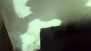 Is this the perfect blowjob you've ever seen?