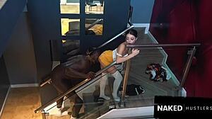 Putting Big Black Dick In Petite White Chick's Cervix