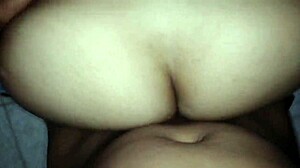 i'm the zorra of america latina, dmrs-f, feeling so hot and wild.