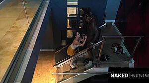 Putting Big Black Dick In Petite White Chick's Cervix