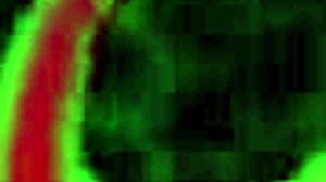 Hot Blonde Lexi Love Gets Twat Fucked Doggystyle By Rome Major