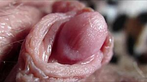 Massive clit pulsing in intense close-up orgasm footage