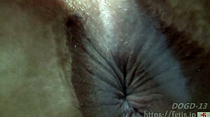 Japanese Aya's Erotic Asshole Fetish Explored in Intense Anal Action!