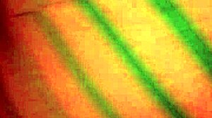 Hey, check this bbw doing reverse cowgirl on that big black cock