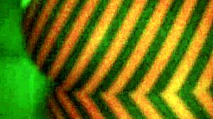 Hey, check this bbw doing reverse cowgirl on that big black cock