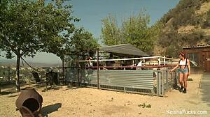 keisha grey enjoys a casual gangbang with multiple cocks in group scene