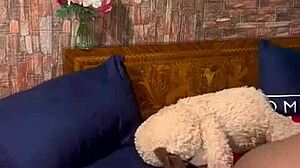 sundaydogood614 - update 255 - vid 20240619 074557 - jun 19 2024