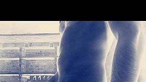 Big indian cock. It's a monster cock.