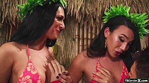 Lucky Guy Faces Two Hot Shemales For Bareback Fucking