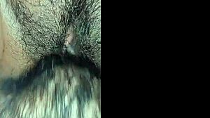 casero real mexicano with fat ass whipping