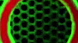 How teasing is this milf Julia Ann posing in the shower?