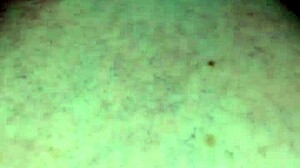 i'm roolo21 from zona oeste, sharing my argentinian experiences personally.