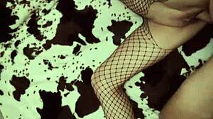 homemade couple shares anal compilation from their 36 years