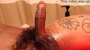 bbc worship, hallelujah johnson tastes big black dick - subscribe to my channel?