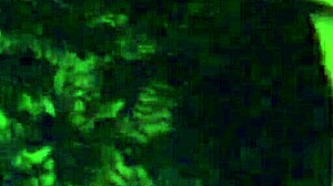 Beautiful Face And Hard Cock Shemale Stephanie Clover Masturbates