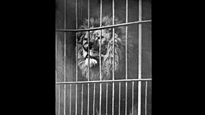 Exploring my secret life in vintage settings