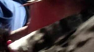 Brazilian shemale gives oral in a quick car session!