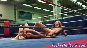 glam babes wrestling and fighting