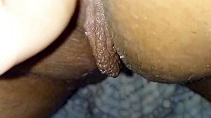 Teasing Amateurs Explore Wet And Big Pussy In Softcore Scene