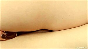 music compilation with intriguing contrasts and themes