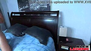 why is round tits slut kay lovely taking that huge dick in her pussy during trick or treat with glasses on