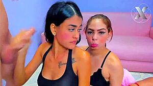 College Sluts Suck My Whole Dick for Homework Help 😏