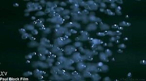 honey erotic art paul black