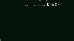 honey erotic art paul black