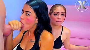 College Sluts Suck My Whole Dick for Homework Help 😏