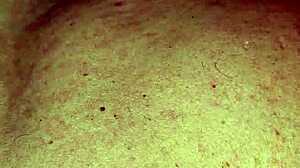 Intriguing contrast of tender love and intense sucking in this redhead scene