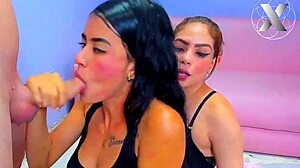 College Sluts Suck My Whole Dick for Homework Help 😏