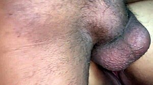 he fucks his sister-in-law alone at home