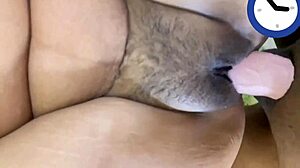 Intense Blowjob And Fucking For Sexy Latina Slut.