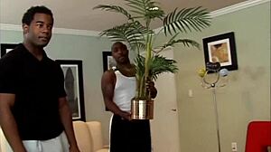 Janae Fox Loves Sucking Raw Dick In Intense Interracial Group Blowjob And Anal Action