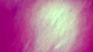 Happy New Year 2020 with Monster Cock Licking