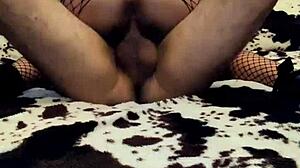 My wife rides cowgirl in black stockings.