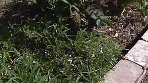 Tory Lane Milf With Big Tits In Pov Scene