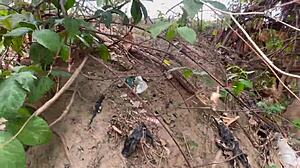 oh man, streams of joy getting dicked outdoor with big ass worship 😍