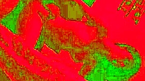 jantar de aniversário terminou com sexo apaixonado