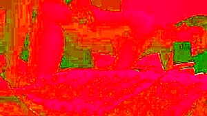 jantar de aniversário terminou com sexo apaixonado